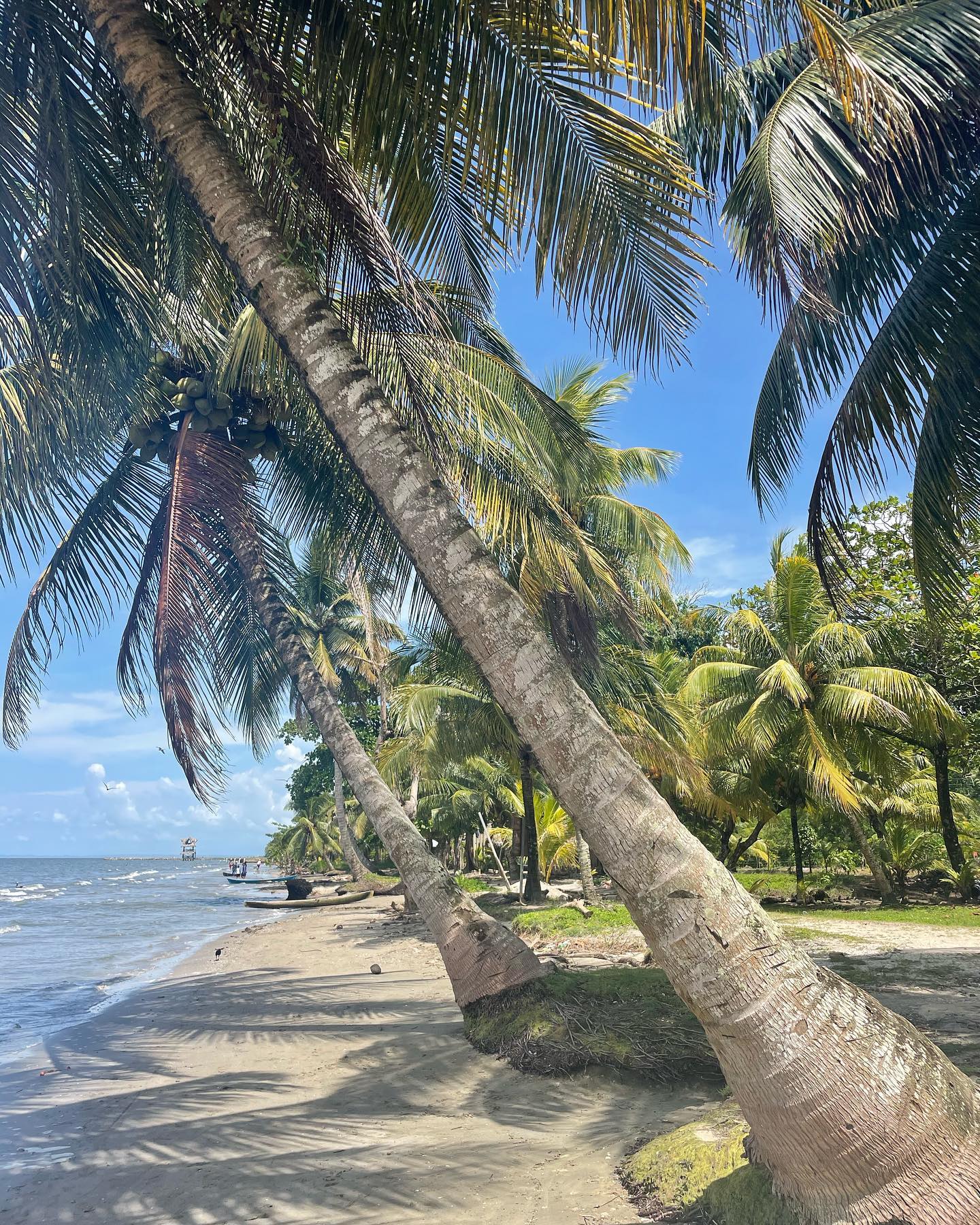 I really loved this local beach in Livingston (Guatemala) ! It’s not very nice to swim there. But for a beach walk it’s an amazing beach because you see fisherman, birds, pelicans, ducks chasing me 😂 many palmtrees, children that are helping their mom and dad with fishing etc etc 🤩 So this beach has an amazing local life! 
First I went with the tuk tuk from the town of Livingston to the beginning of the walking path that goes to this beach. 
I walked almost to the end of this beach to visit the “Los Siete Altares” there are many pools to relax and a few nice waterfalls. There was 1 waterfall with a nice pool where I was alone the most of the time for hours! 🥰😍

#guatemalaimpresionante #livingstonguatemala #worldtrip #beachlife #lovetotravel #backpackinglife #palmtrees🌴 #beachfinds #guatemalatravel #wereldreis #rumagtravel #nofilterneeded #summerlife #guatephoto #reiswijven #wanderluster #letswander #womanwhotravel #thetraveltag #shetravelz #featurefriday #featurefridays #stayandwanderer #amazing_terra #capturethemoment