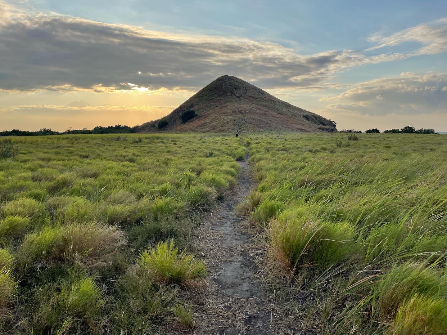 We climbed this hill all the way to the top for sunset. Ow boy… Even this was already so exhausted for me 🤣 and this was nothing compared with Padar island haha
#needtogetbackinshape 

#kenawaisland #komodotrip #worldtrip #exploreindonesia #sailingkomodo #lomboktoflores #westnusatenggara #sailinglife #boatlifestyle #backpackinglife #backpacken #wereldreis #reizen #reiziger #traveler #ig_travelerworld #worldcaptures #islandlife #tropicalislands